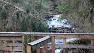 A walk along Hayward reservoir trail in Mission, British Columbia