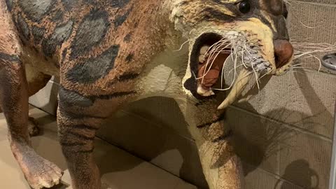 Saber tooth replica at Anza Borrego