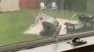 Extremely dangerous high winds rip roof off of shed