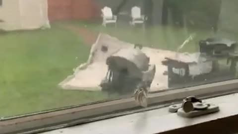 Extremely dangerous high winds rip roof off of shed