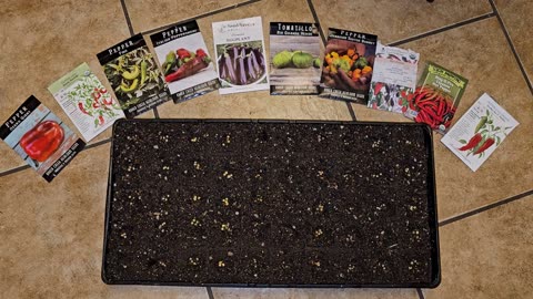Starting a 50-Cell Tray of Heirloom Peppers, Eggplant, & Tomatillo 04/09/2024