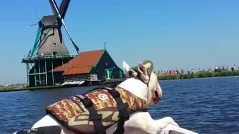 Boating with typical Dutch views