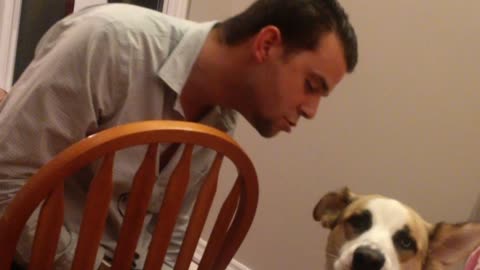 Dog and human engage in howling contest