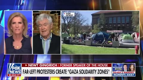 Newt Gingrich_ There must be 'accountability' for colleges rife with anti-Israel chaos