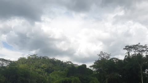 Timelapse video cloud movement over tropical forest beautiful nature