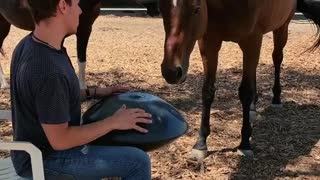 Sensual drum and horse