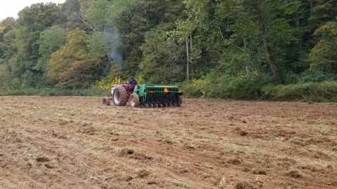 Farmall 560 tractor pulling Great Plains 1006NT drill planting spelt.