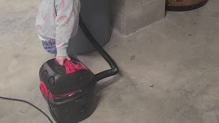 Vacuuming spiders