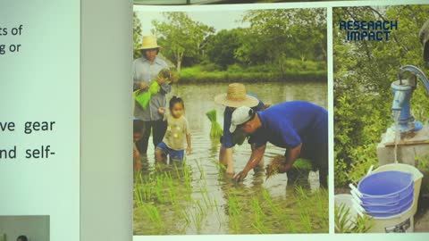 Bacteria that causes rare tropical disease found in US soil