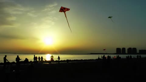 Kites on the beach at sunset