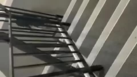 Boss walks the stairs to keep fit