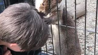 Otter gives kid relaxing scalp massage