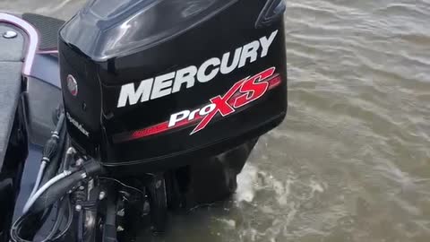 Mercury 150 hp Optimax 2 stroke idle
