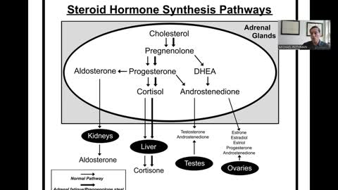 Cholesterol is the Source of your Hormones