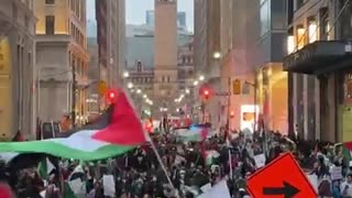 Toronto is filled with Palestinian Protesters...