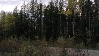 Strange Unknown Noise Recorded in Canadian Wilderness