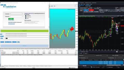 TRADESTATION - METATRADER TRADE COPIER