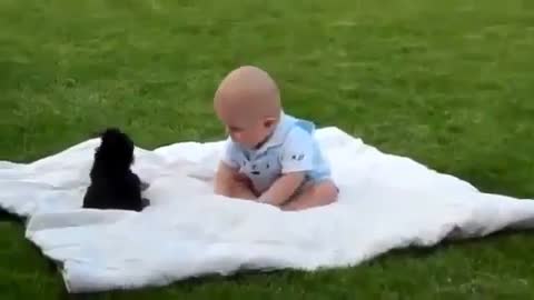 A baby and dog puppy meeting for the first time