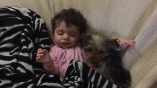 ¡Ternura recargada! Beba se acurruca con un cachorro para dormir la siesta