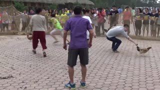 Vietnam countryside folk games - cacth the chicken