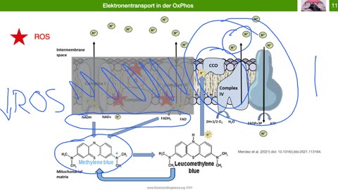 Methylenblau - Was kann es, wann wie einsetzen?