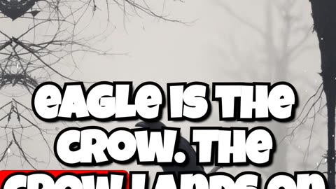 The Eagle and the Crow - A Powerful Lesson on Rising Above Challenges