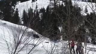 Gold black ski tree crash
