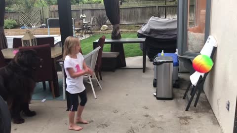 Little Girl And Giant Dog Play Handball Together
