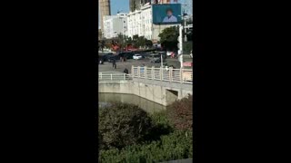 Car Crushed As Crane Snaps In Half On Busy Street