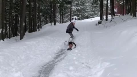 Human Snowboard