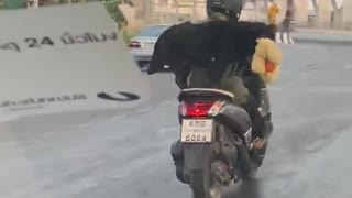 Dog Must Bring Stuffed Animal Along for the Ride