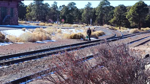 Grand Canyon Run 1/9/2021