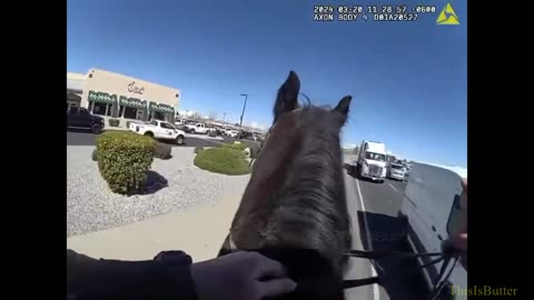 Albuquerque police release bodycam showing mounted unit chasing shoplifting suspect
