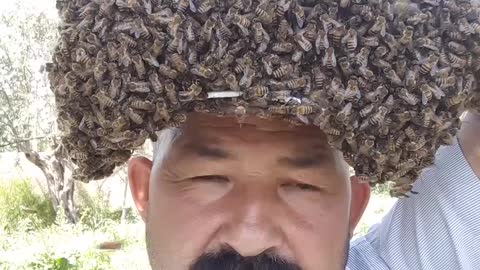 This Man Has The Most Interesting Hobby As A Beekeeper