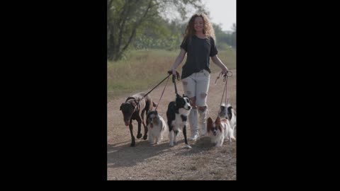Woman walking with dogs #funny dogs