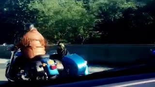 Dog sitting in blue two person motorcycle