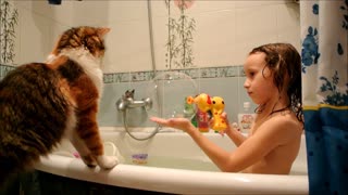 Playful Cat Loves To Pop Soap Bubbles