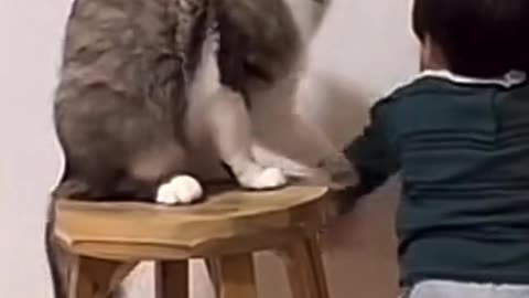 Animal funny video🤩""Cute cat vs cute baby funny bi8😂😅🤩🐈""