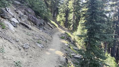 Traversing the BEAUTIFUL Alpine Forest – Three Fingered Jack Loop – Central Oregon – 4K