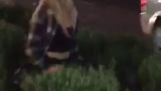 Girl falls into bushes