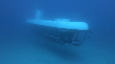 Scuba divers surprise submarine passengers