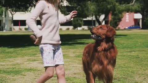 girl playing with a dog #shorts