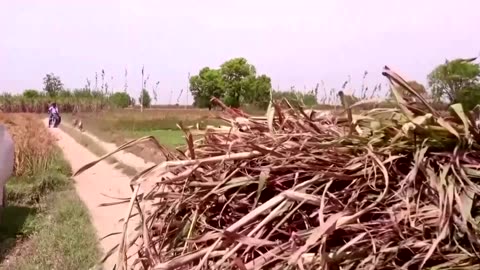 India starts voting in mammoth election