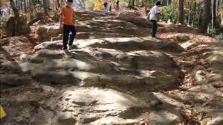 Offroad Tracks 2010 Slade Ride Osborne