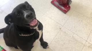 Ranger learns the vacuum