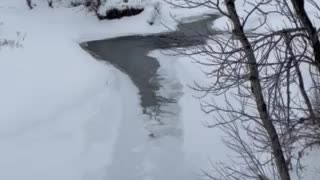 Stream nearly frozen all the way
