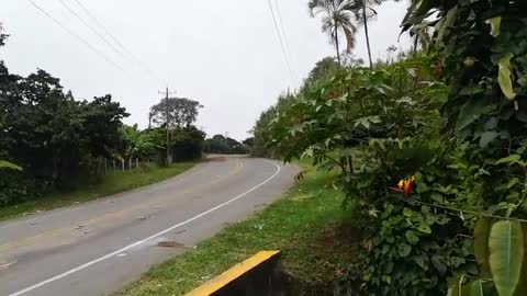 Un muerto y 7 heridos por choques entre disidentes de las Farc y la Fuerza Pública en el Cauca