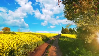 English Country Lane