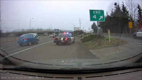 Rescuing a Runaway Dog from Busy Freeway