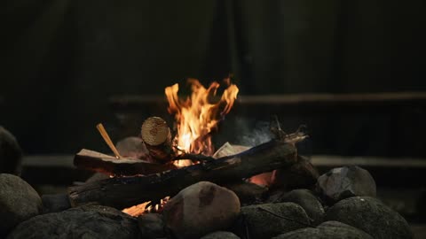 Campfire Owls